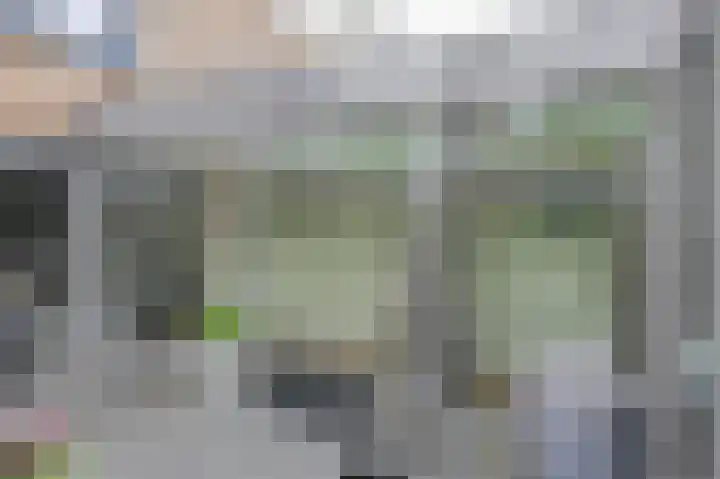 Priemkruid 87 Breda thumbnail 20