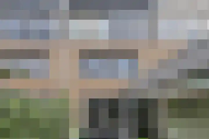 Priemkruid 87 Breda thumbnail 21