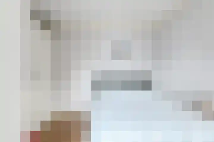 Priemkruid 87 Breda thumbnail 24