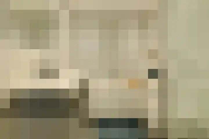 Priemkruid 87 Breda thumbnail 25