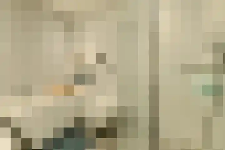 Priemkruid 87 Breda thumbnail 26
