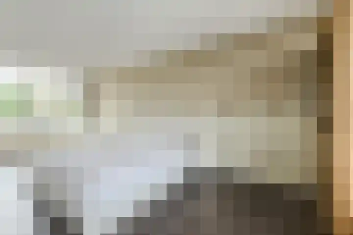 Priemkruid 87 Breda thumbnail 32
