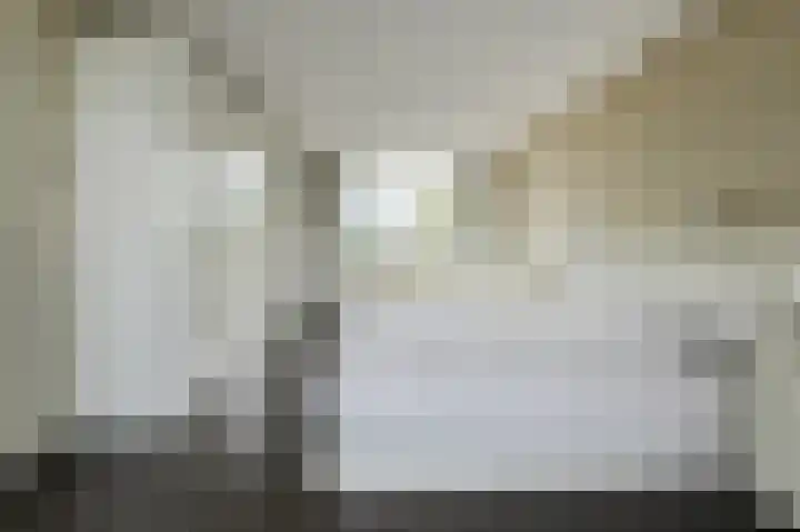 Priemkruid 87 Breda thumbnail 33