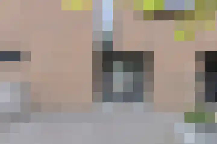 Priemkruid 87 Breda thumbnail 34