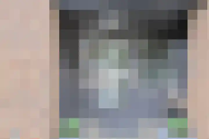 Priemkruid 87 Breda thumbnail 35