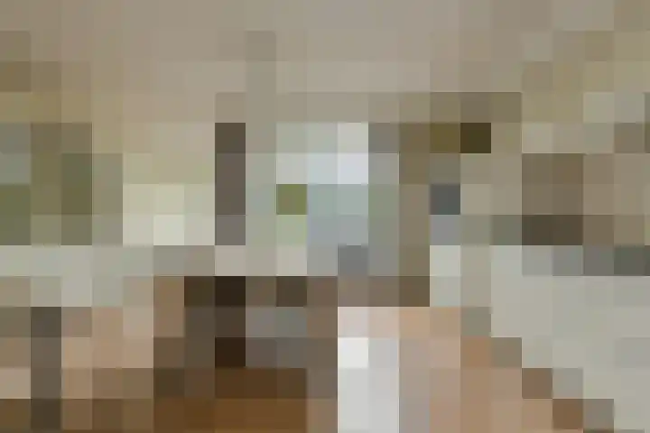 Priemkruid 87 Breda thumbnail 4