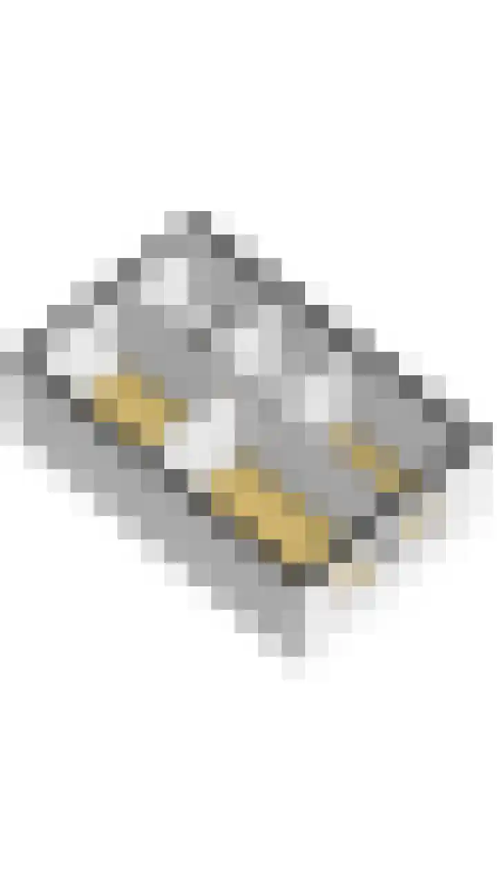 Priemkruid 87 Breda thumbnail 41