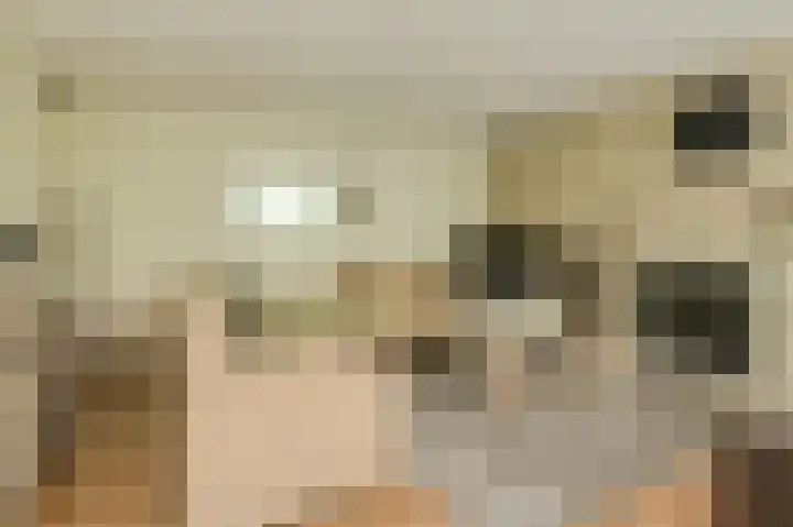 Priemkruid 87 Breda thumbnail 5