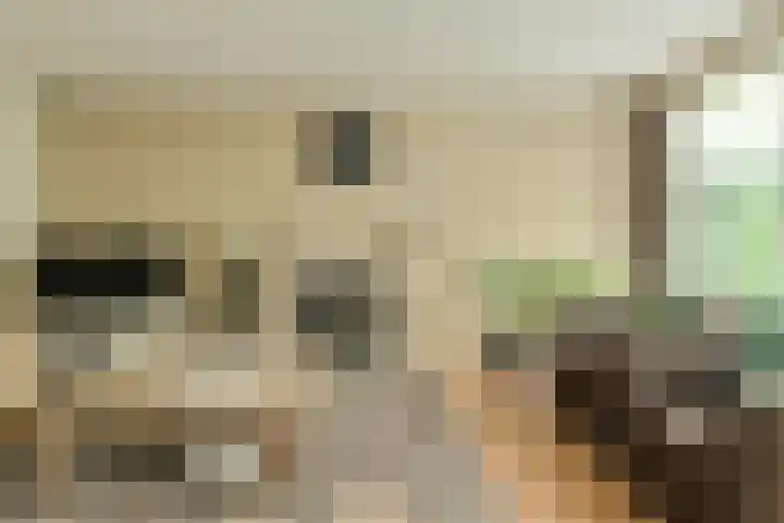 Priemkruid 87 Breda thumbnail 6