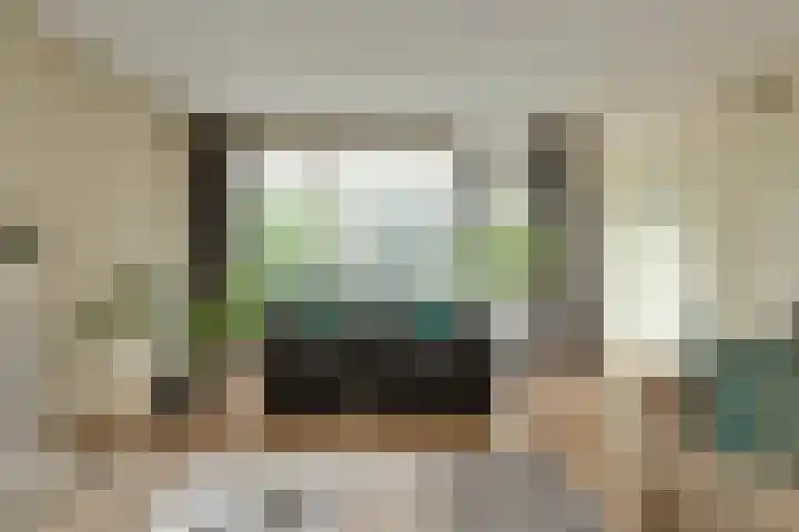 Priemkruid 87 Breda thumbnail 7