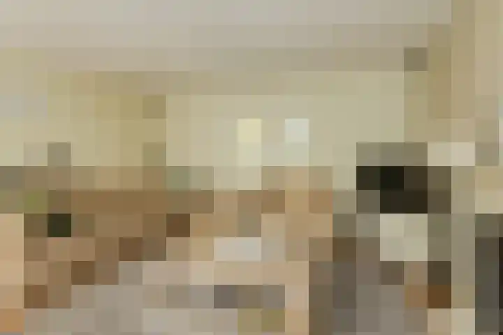 Priemkruid 87 Breda thumbnail 8