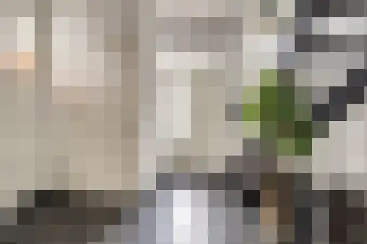 Priemsteeg 14 Haarsteeg thumbnail 17