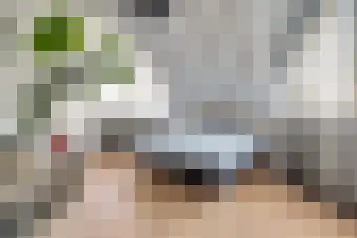 Priemsteeg 14 Haarsteeg thumbnail 19