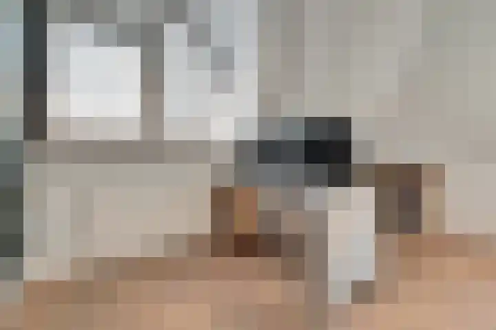 Priemsteeg 14 Haarsteeg thumbnail 33