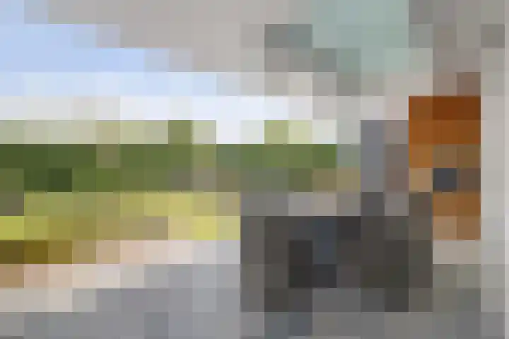Priemsteeg 14 Haarsteeg thumbnail 39