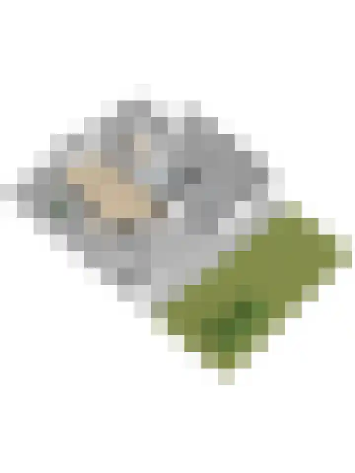 Priemsteeg 14 Haarsteeg thumbnail 44