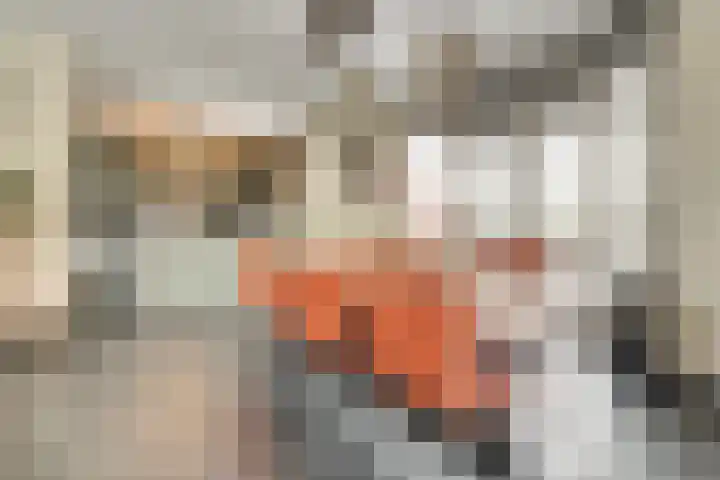 Priemsteeg 14 Haarsteeg thumbnail 8