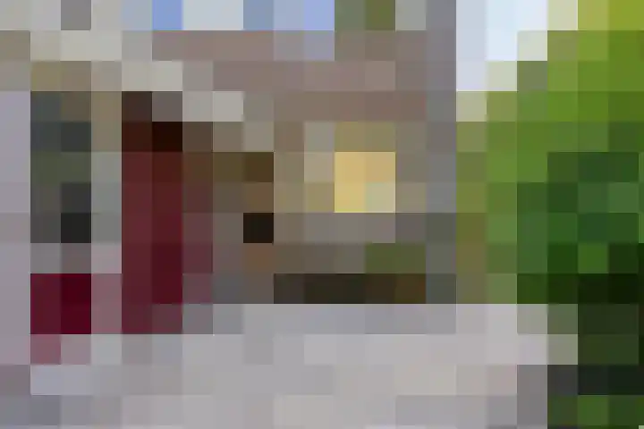 Priemstraat 51 Alkmaar thumbnail 6