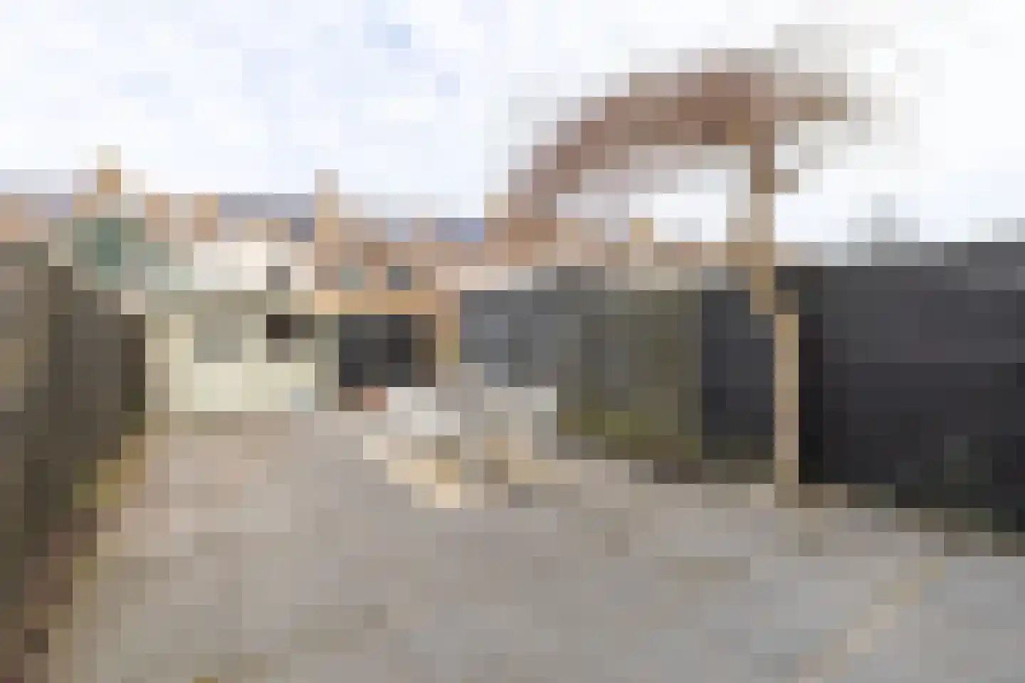Priemstraat 56 Alkmaar thumbnail 34