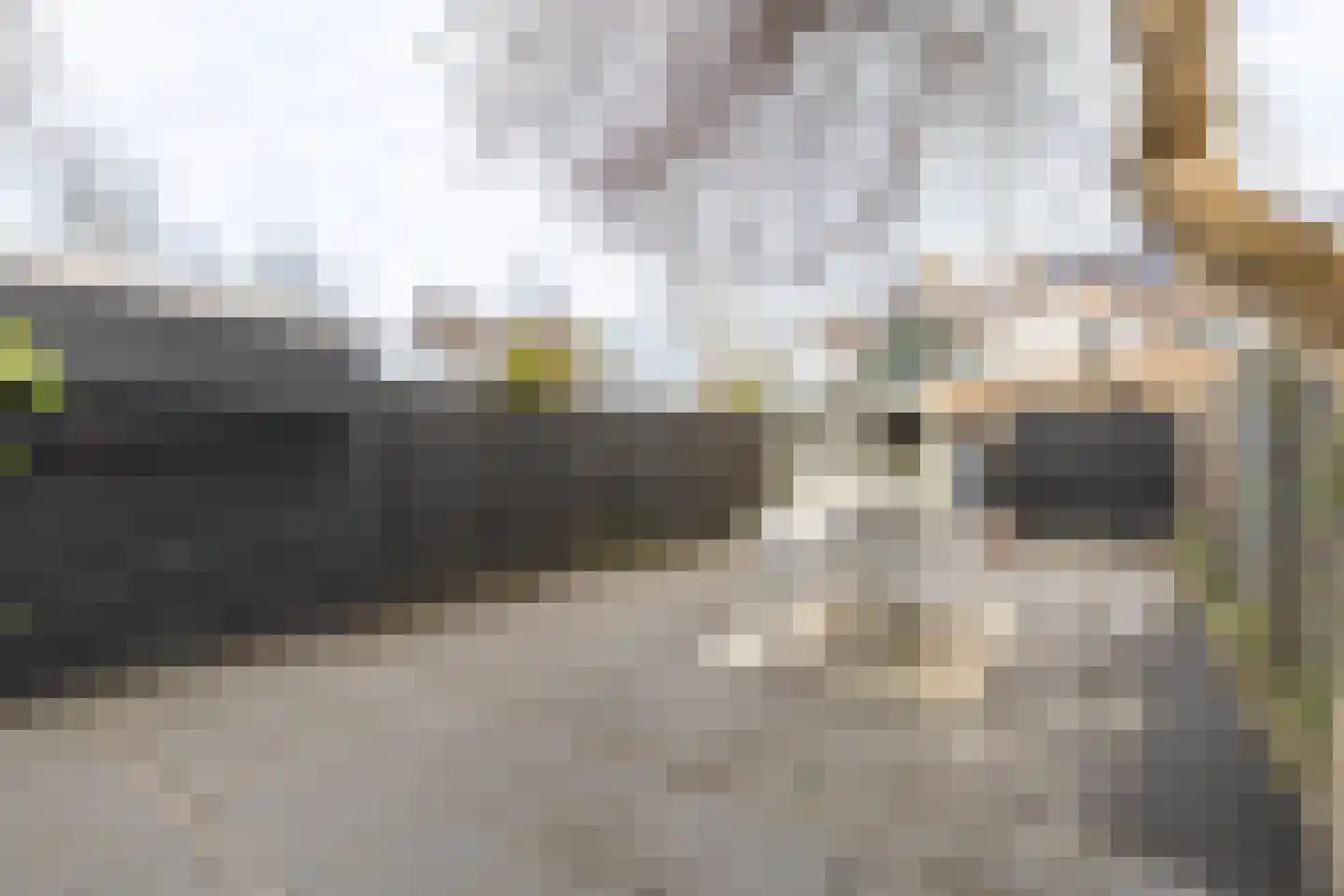 Priemstraat 56 Alkmaar thumbnail 35