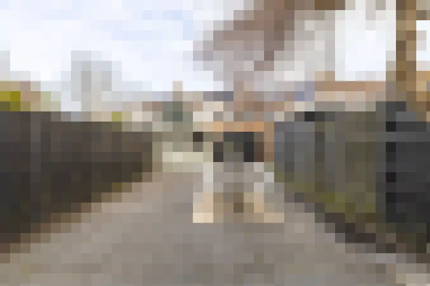Priemstraat 56 Alkmaar thumbnail 37