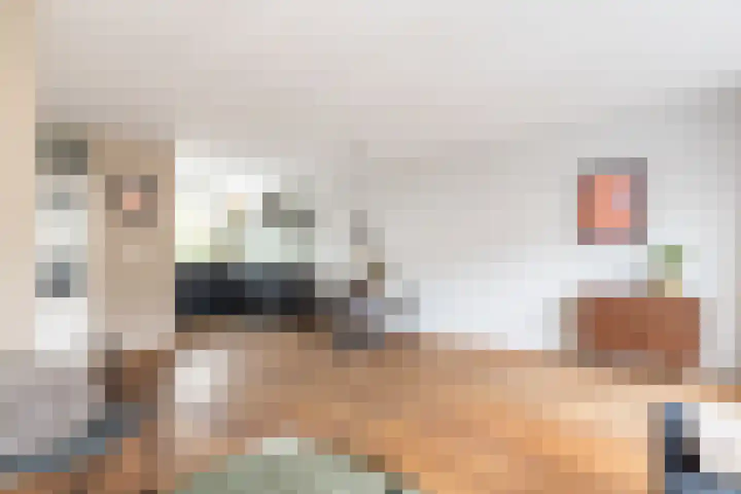 Priemstraat 56 Alkmaar thumbnail 8
