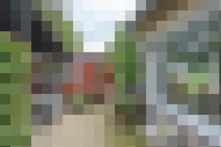 Priesnitzlaan 4 Laag-Soeren thumbnail 29