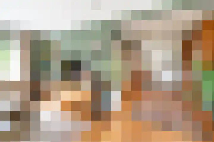Priesnitzlaan 4 Laag-Soeren thumbnail 37