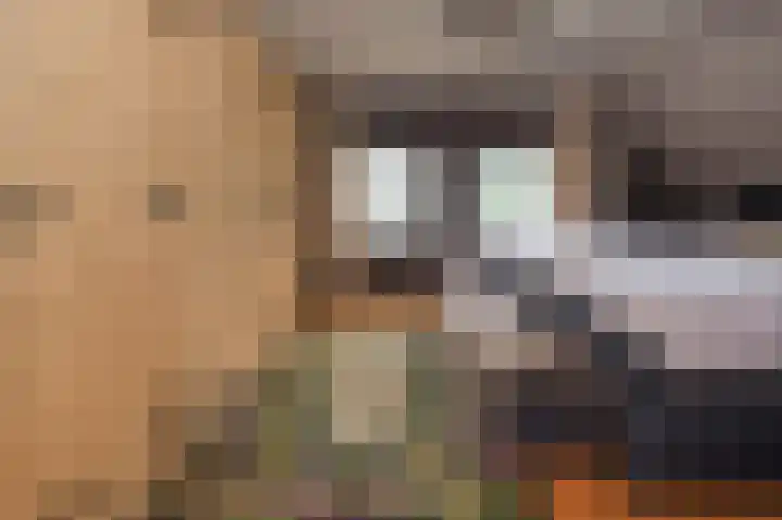 Priesnitzlaan 4 Laag-Soeren thumbnail 48