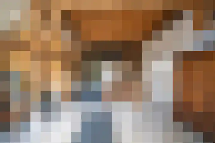 Priesnitzlaan 4 Laag-Soeren thumbnail 60