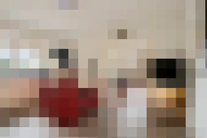 Priesnitzlaan 6 Laag-Soeren thumbnail 12