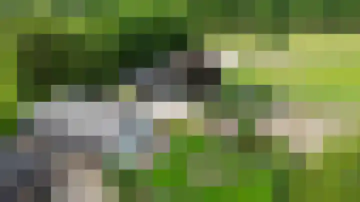 Priesnitzlaan 6 Laag-Soeren thumbnail 5