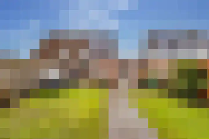 Prieswijk 44 Elim thumbnail 31