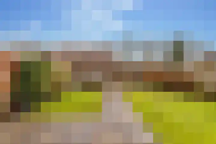 Prieswijk 44 Elim thumbnail 32