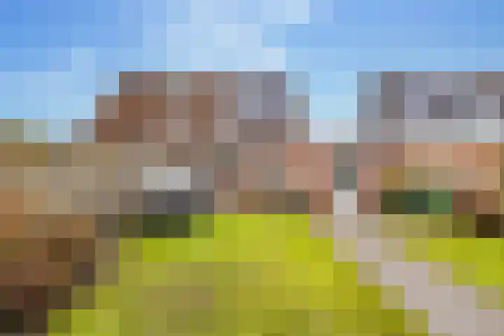 Prieswijk 44 Elim thumbnail 33