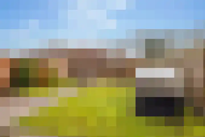 Prieswijk 44 Elim thumbnail 35