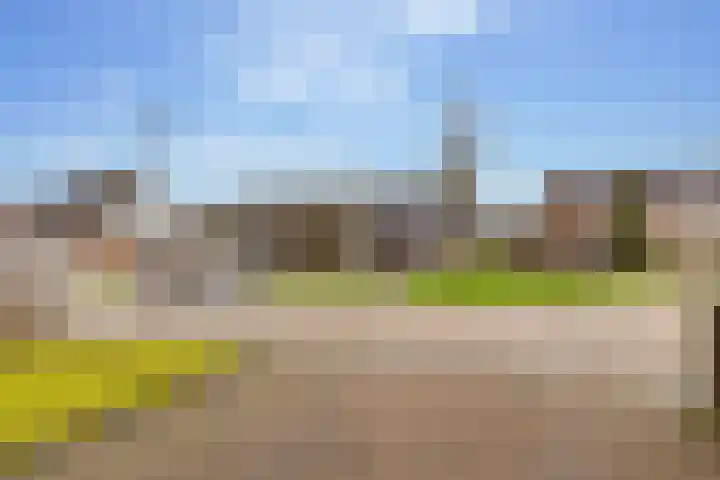 Prieswijk 44 Elim thumbnail 36