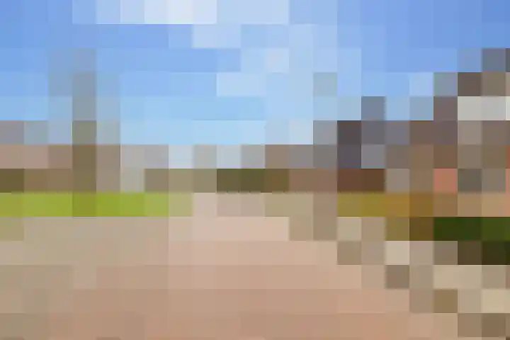 Prieswijk 44 Elim thumbnail 39