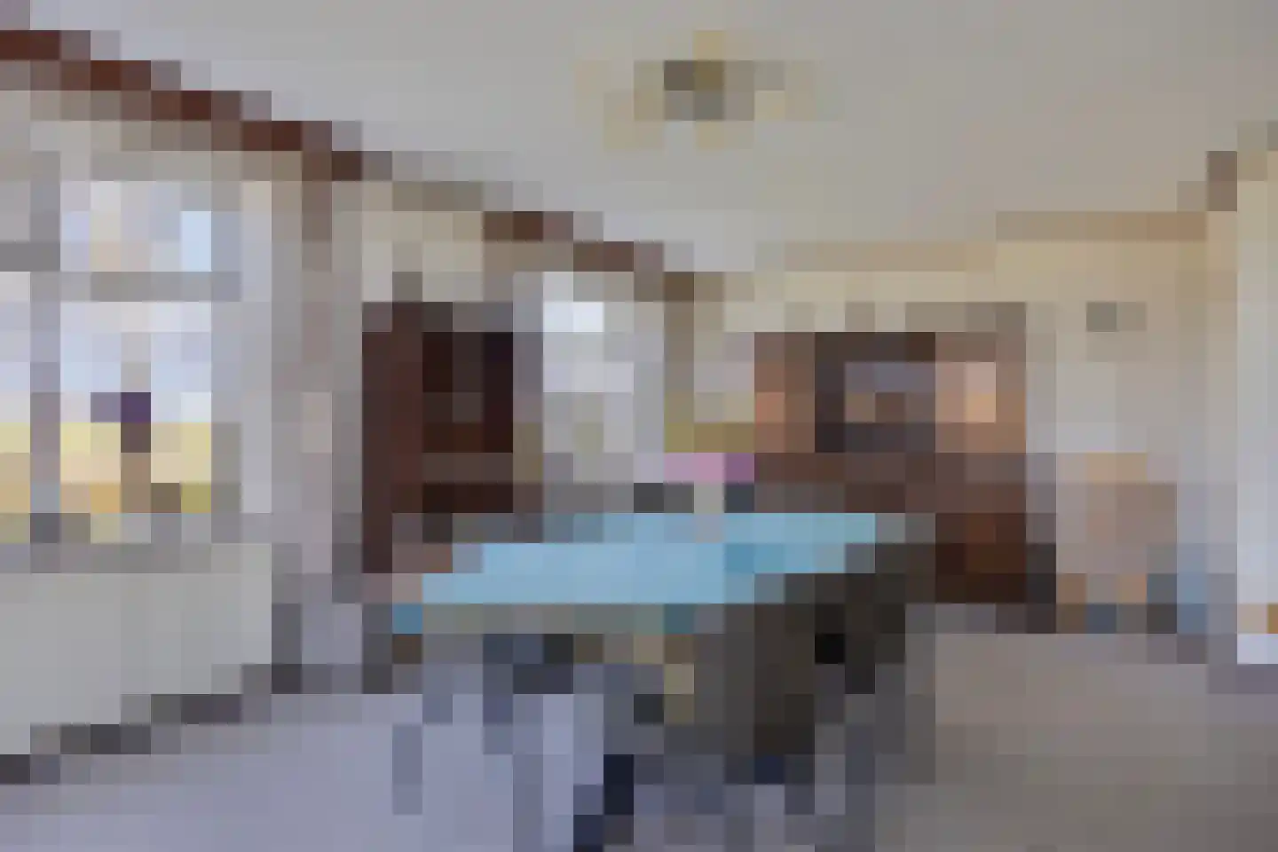 Priggeweg 1 Schagen thumbnail 12