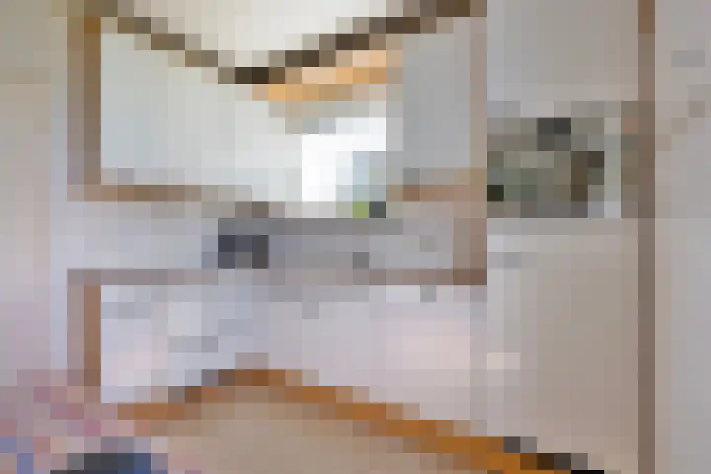 Priggeweg 1 Schagen thumbnail 16