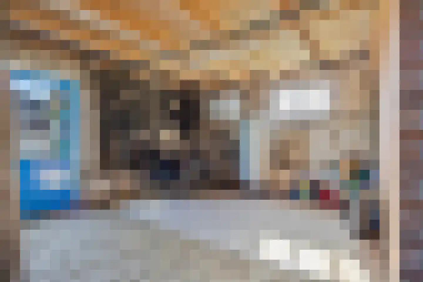 Priggeweg 1 Schagen thumbnail 21