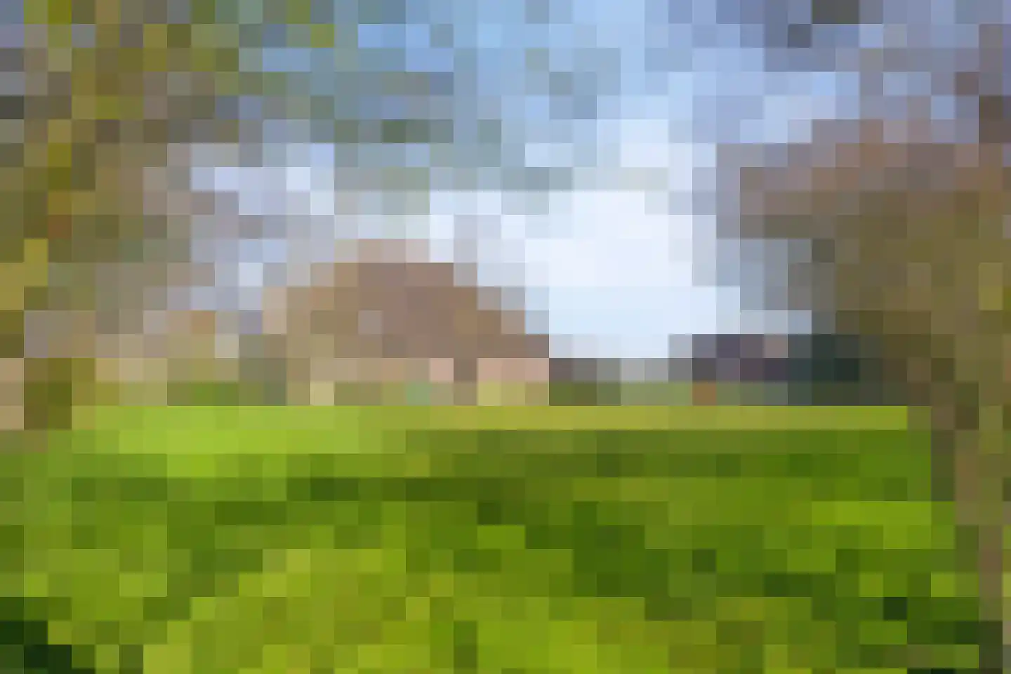 Priggeweg 1 Schagen thumbnail 39