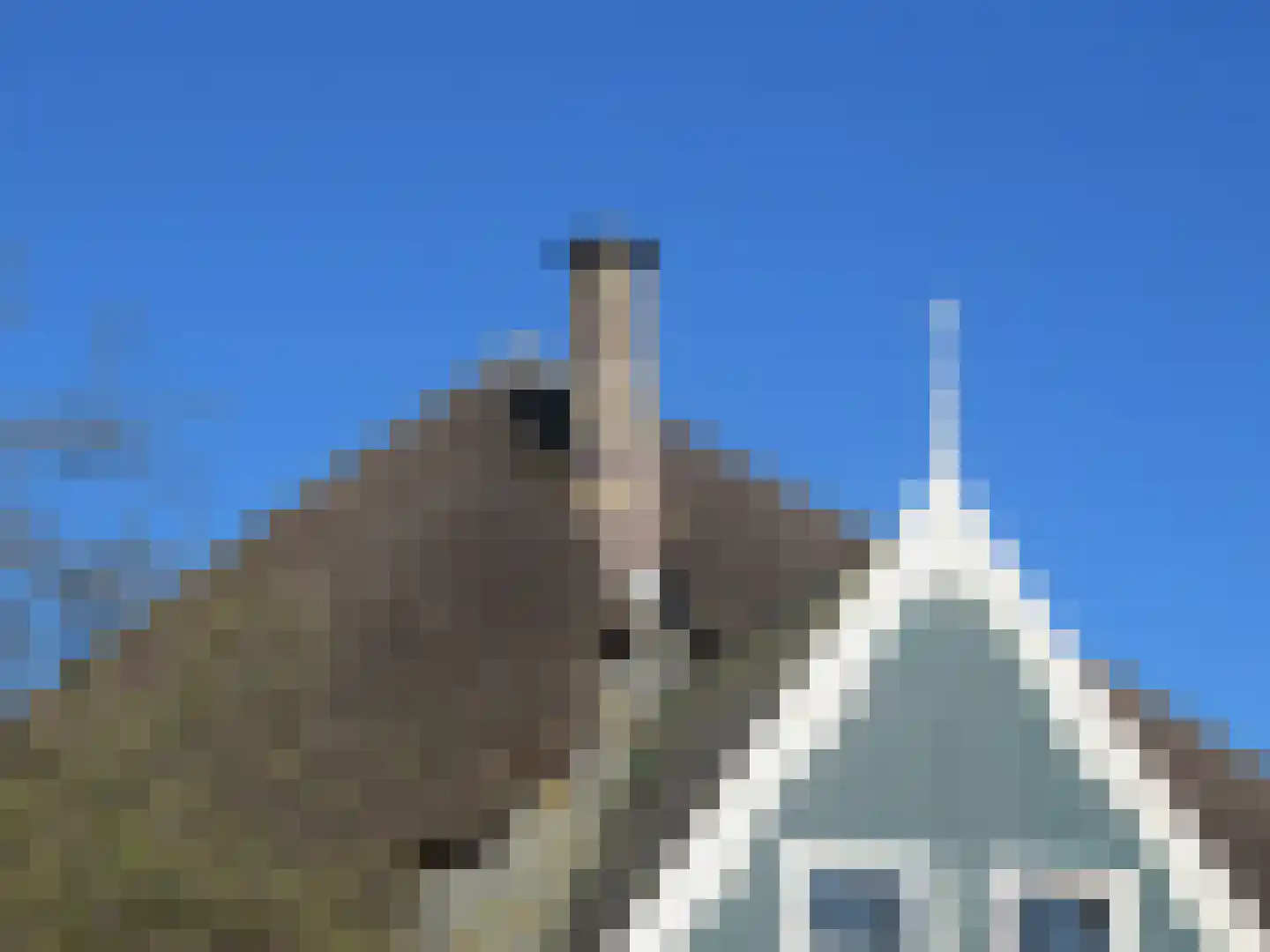 Priggeweg 1 Schagen thumbnail 5