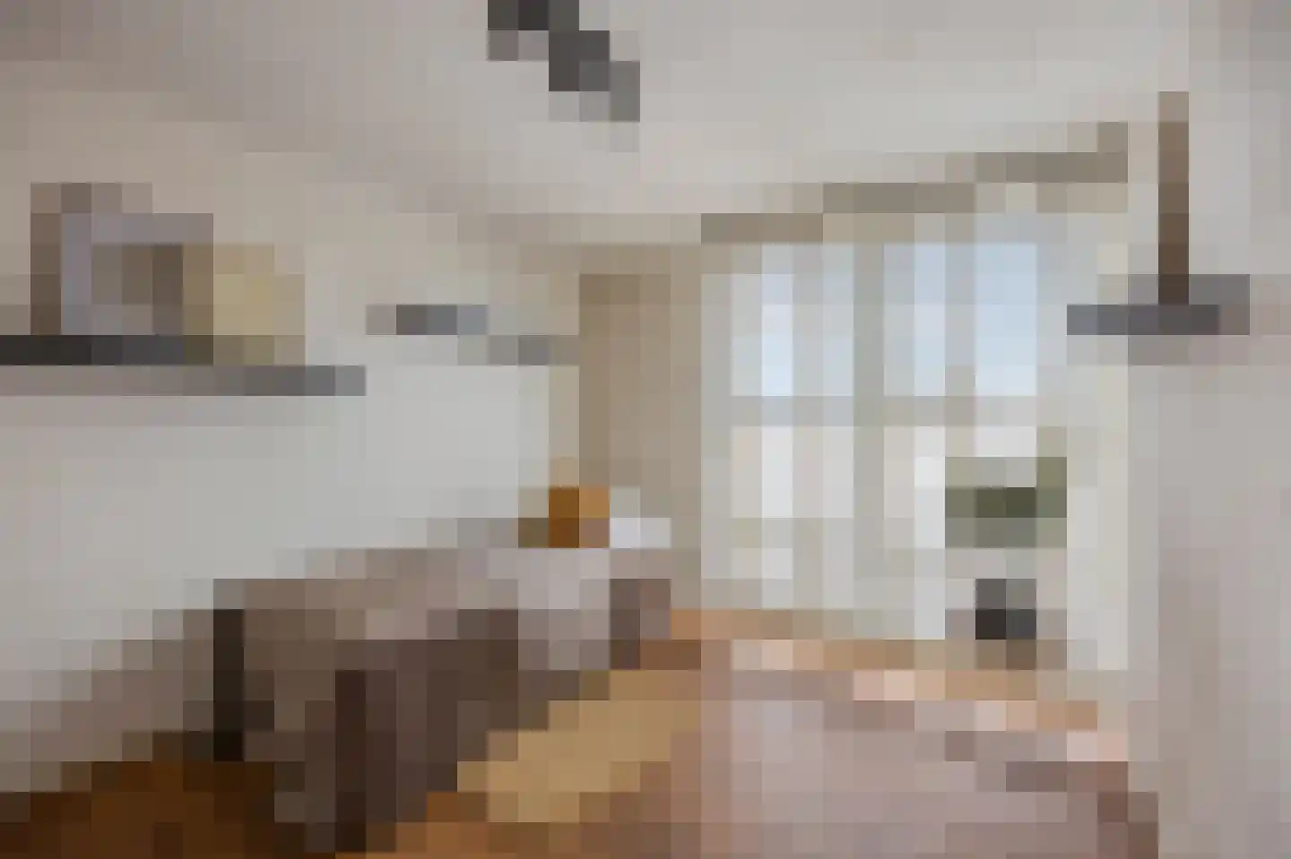 Prijssestraat 39 Culemborg thumbnail 17