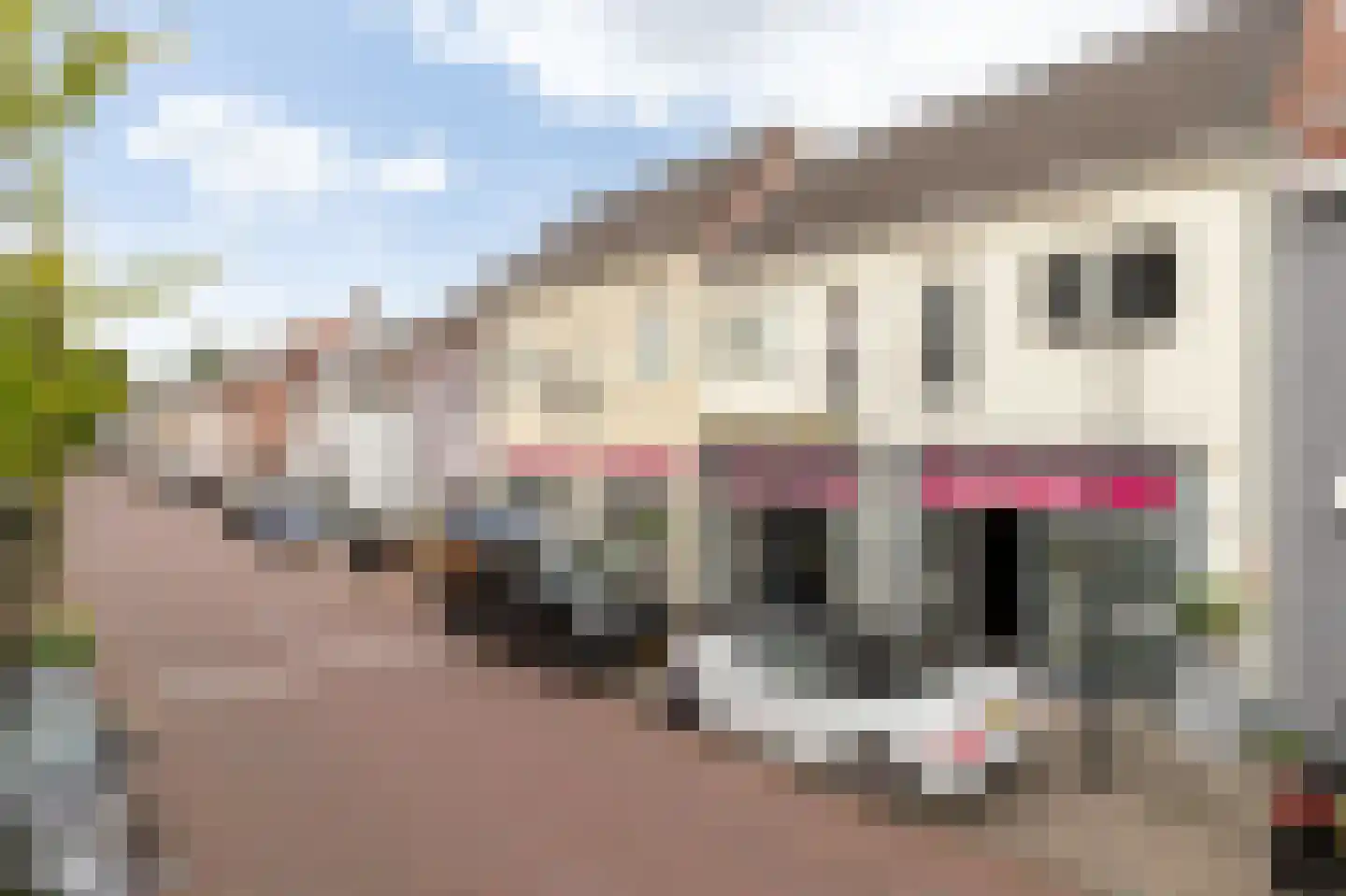 Prijssestraat 39 Culemborg thumbnail 21