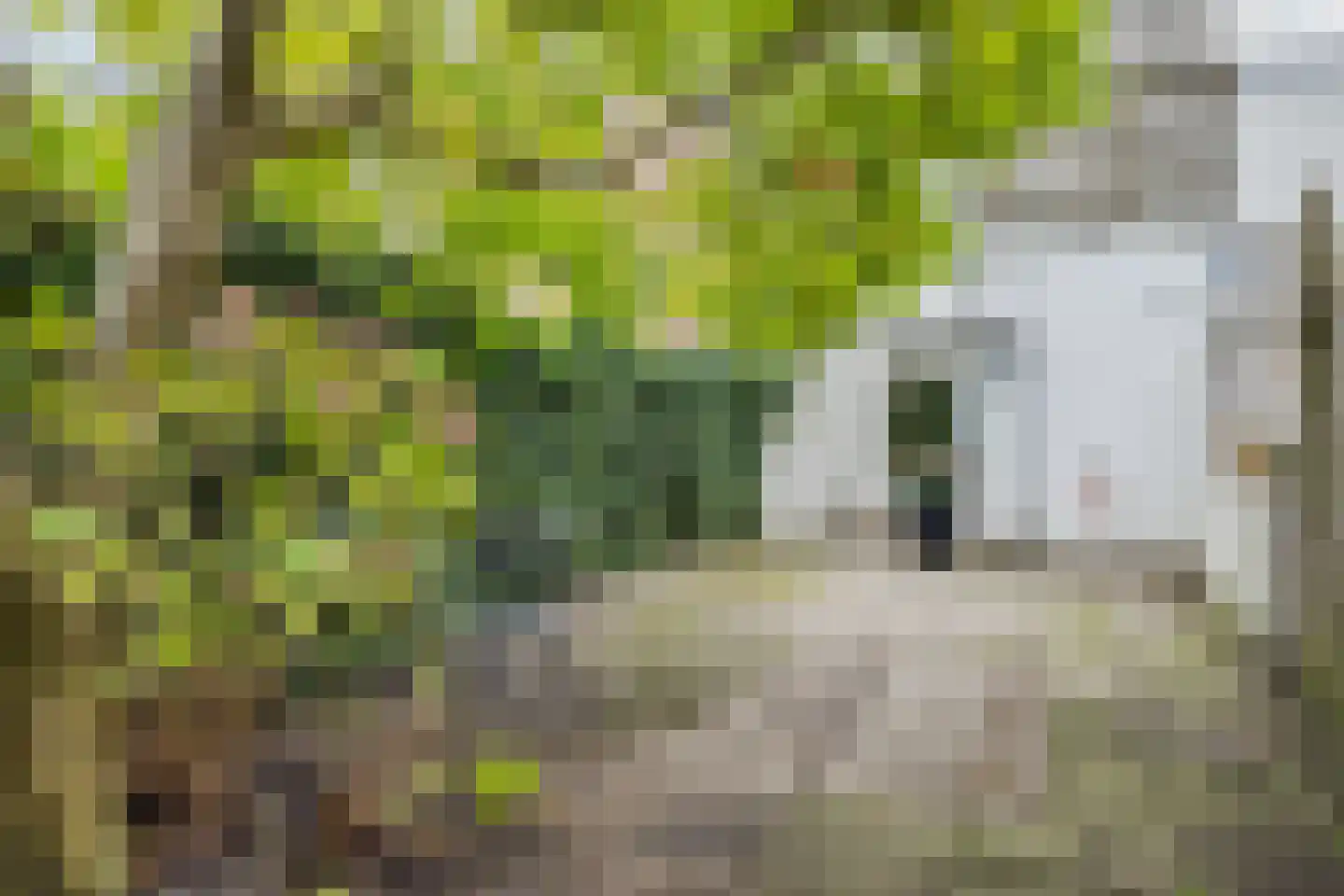 Prijssestraat 50 Culemborg thumbnail 39