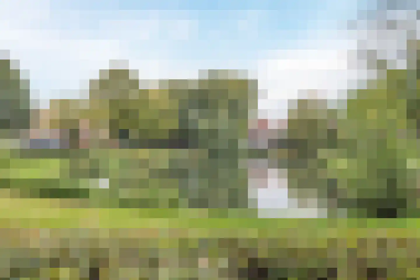 Prijssestraat 50 Culemborg thumbnail 4
