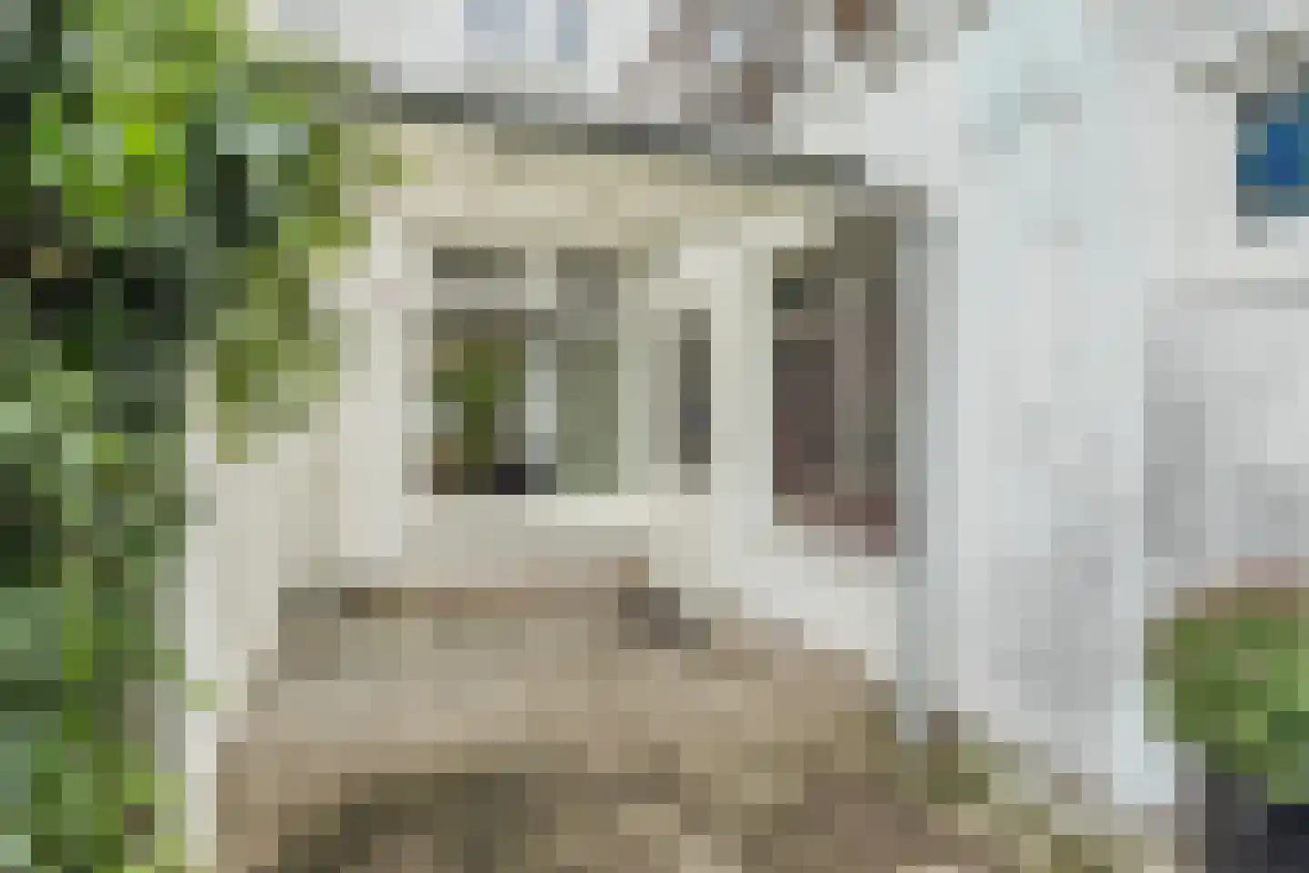 Prijssestraat 50 Culemborg thumbnail 43