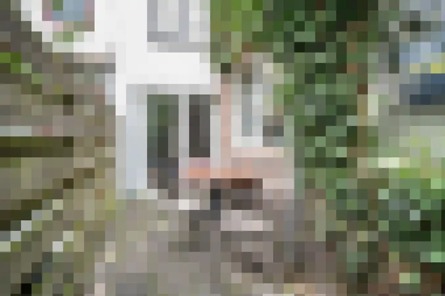 Prijssestraat 61 Culemborg thumbnail 17