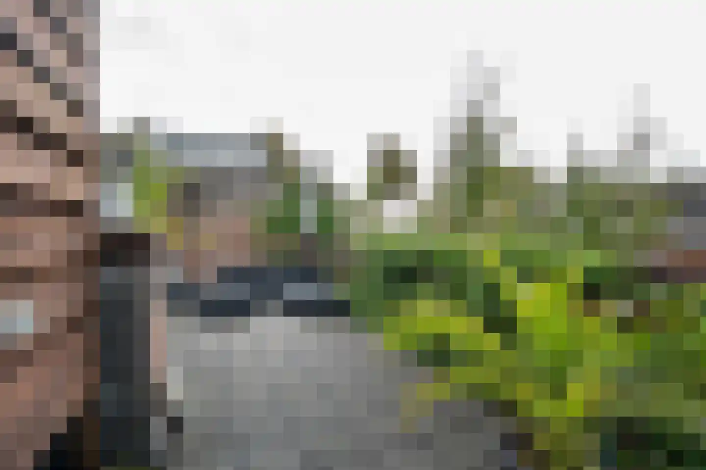 Prijssestraat 61 Culemborg thumbnail 4